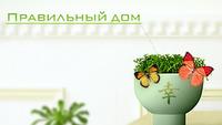 Правильный дом